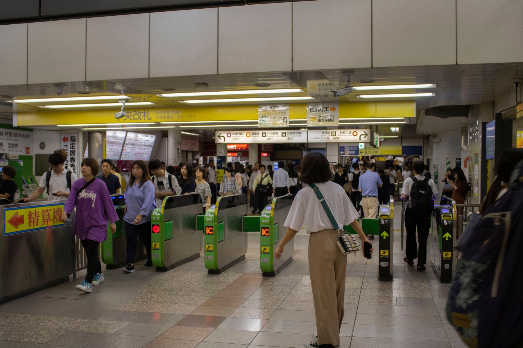 Japan Train Station Gates