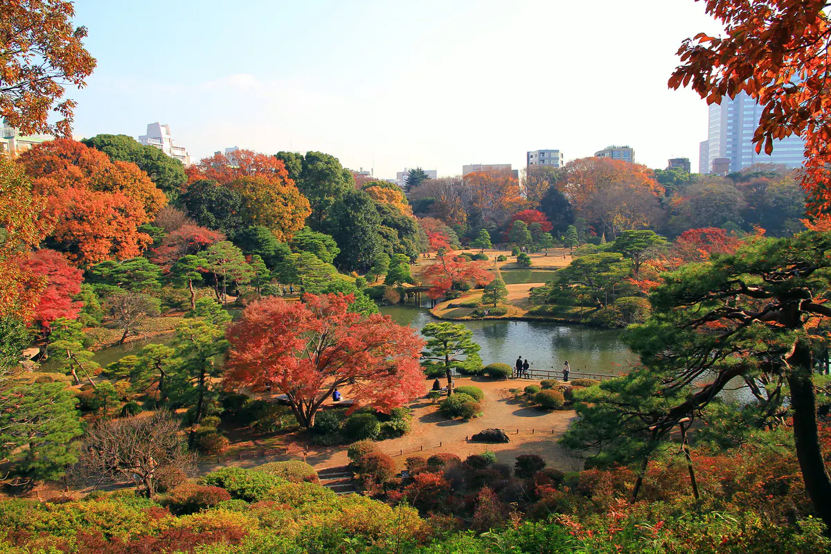 Red and orange autumn trees surrounding Rikugien's pond and landscaped paths, with Tokyo buildings beyond the garden