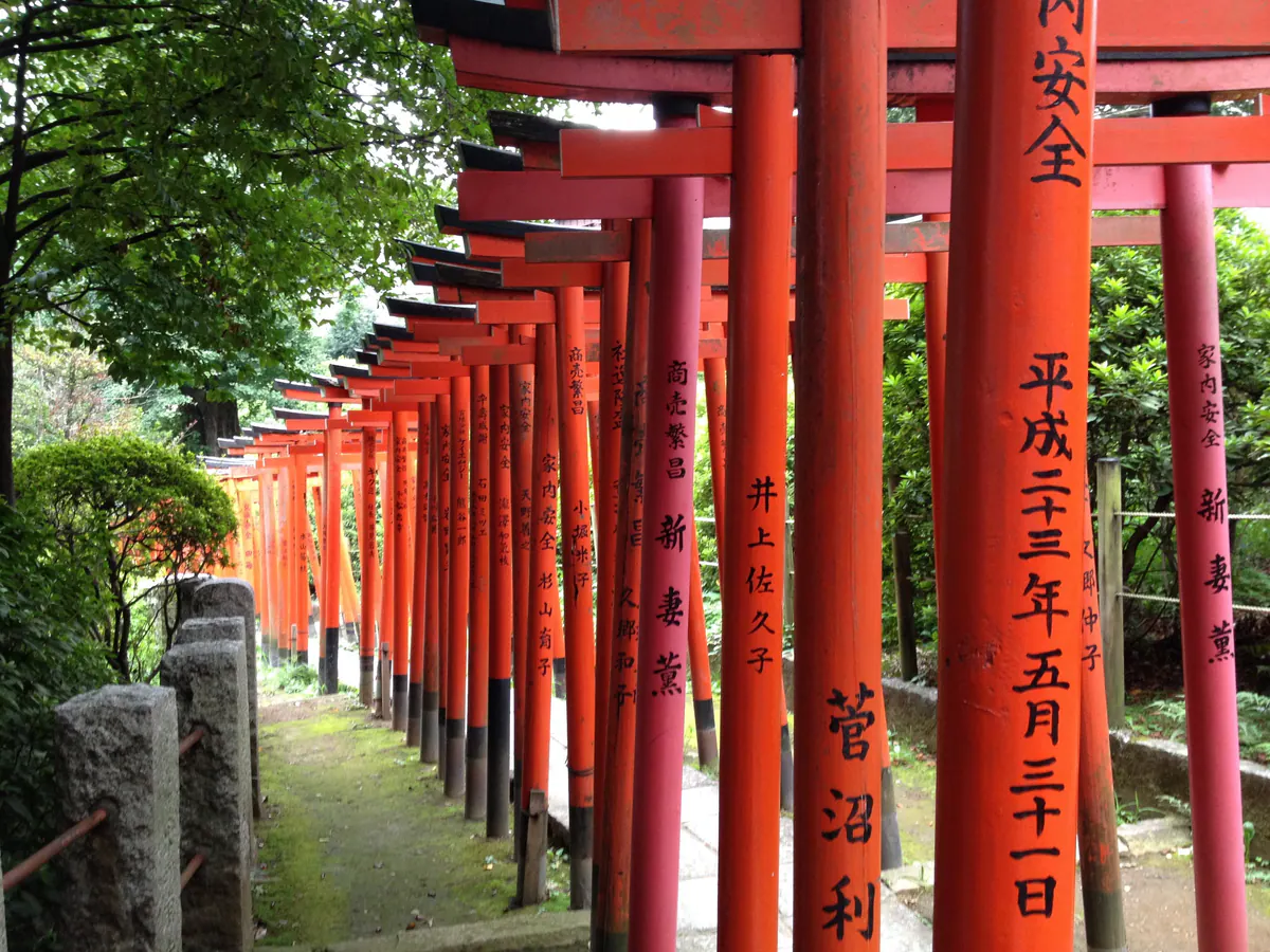 A shaded path through red torii gates at Nezu Shrine in Tokyo